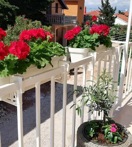 Апартаменты Kus Углян