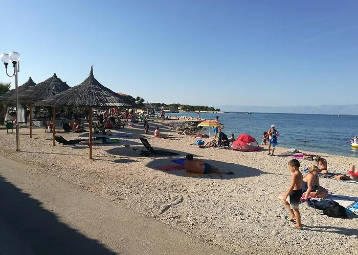 Daire Kus Ugljan