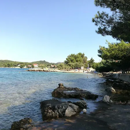 Kus * أوغليان